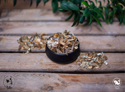 Garnele 100g