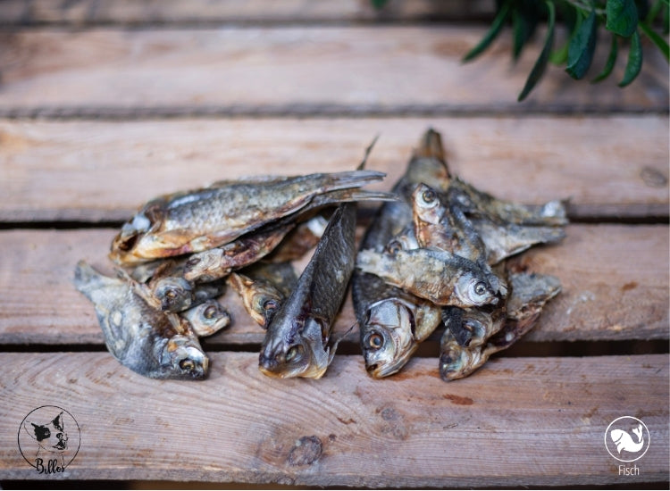 Karausche 100g