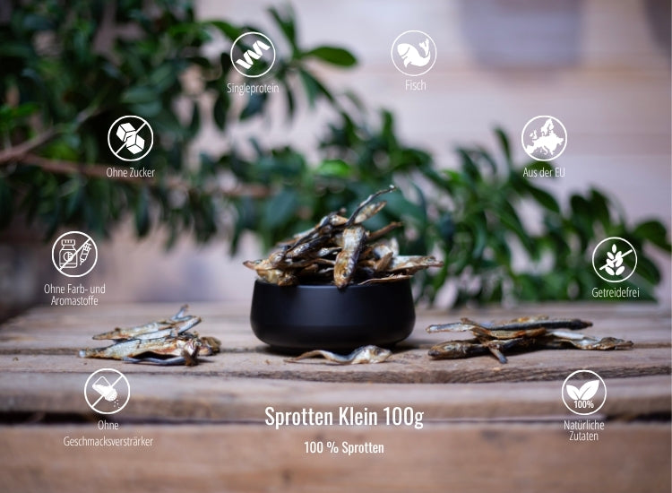 Sprotten Klein 100g