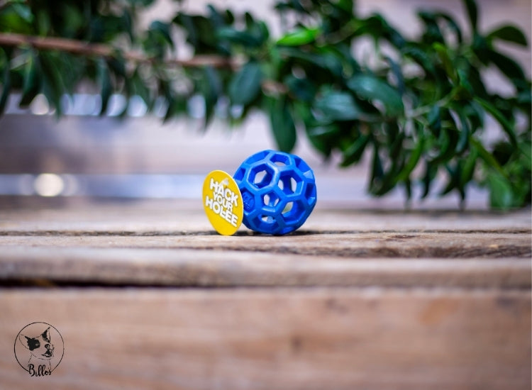 Gitterball