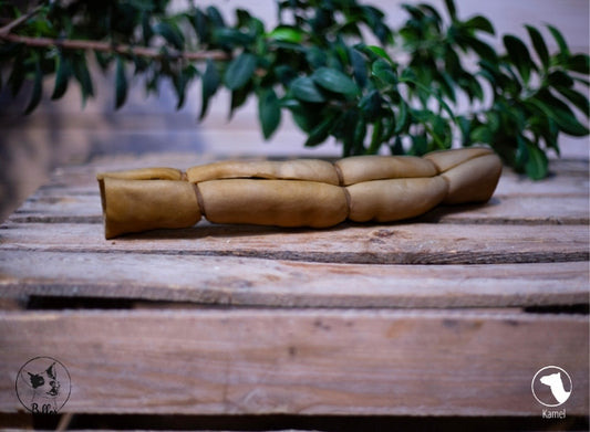 Kamelhaut Rolle 30cm