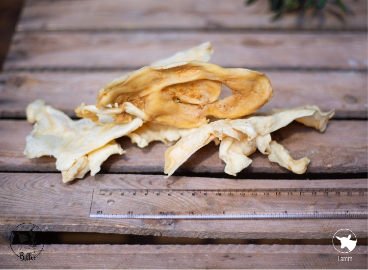 Lammnase 100g