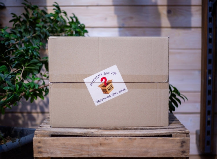 Billos Mystery Box