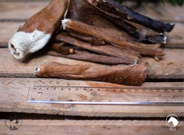 Pferdehaut mit Fell 200g