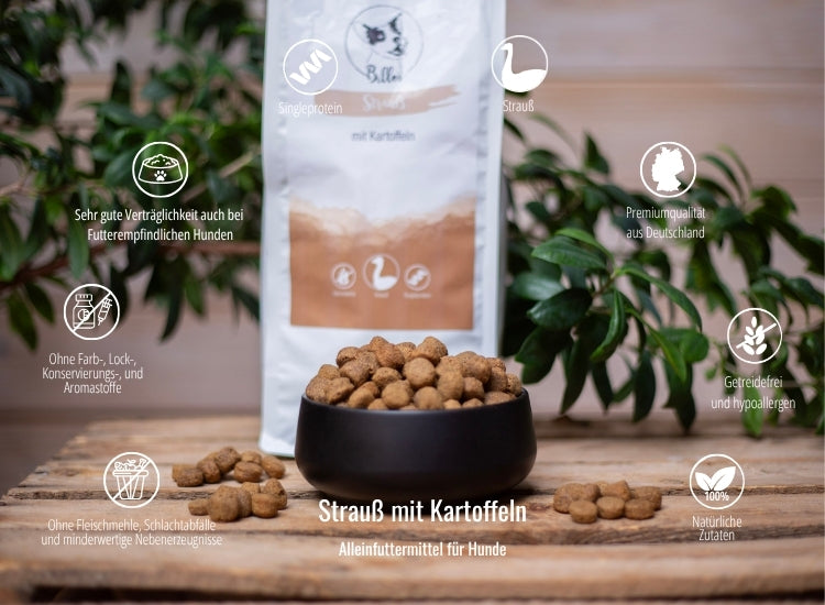 Strauß mit Kartoffeln