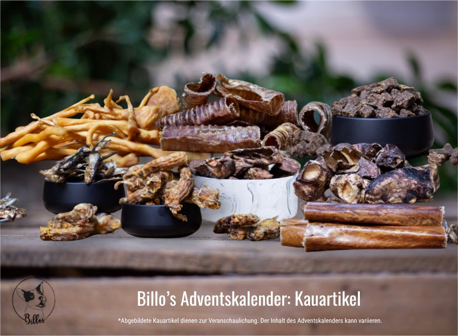 Kauartikel Adventskalender für Hunde 🎄🐶