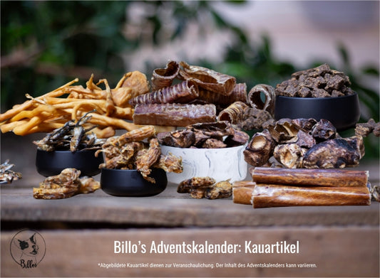 Kauartikel Adventskalender für Hunde 🎄🐶