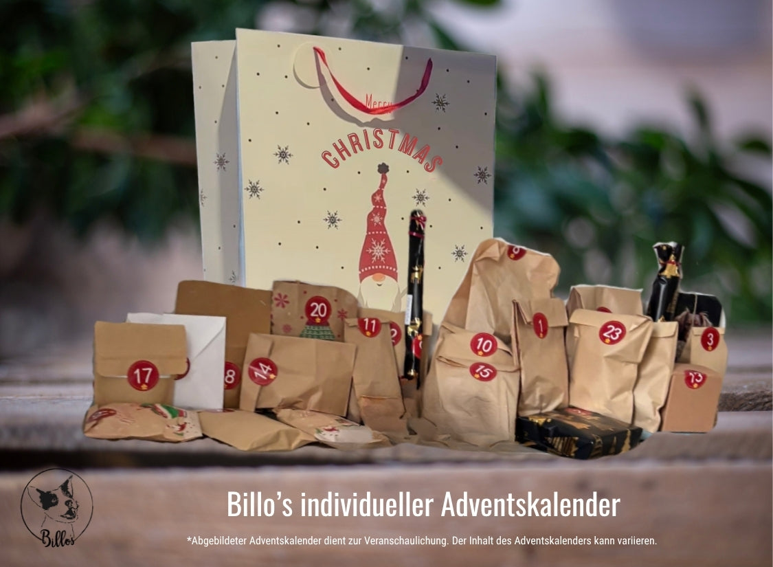 Dogtrends Adventskalender